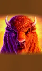Buffalo 50